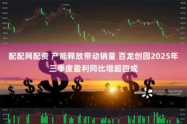 配配网配资 产能释放带动销量 百龙创园2025年三季度盈利同比增超四成